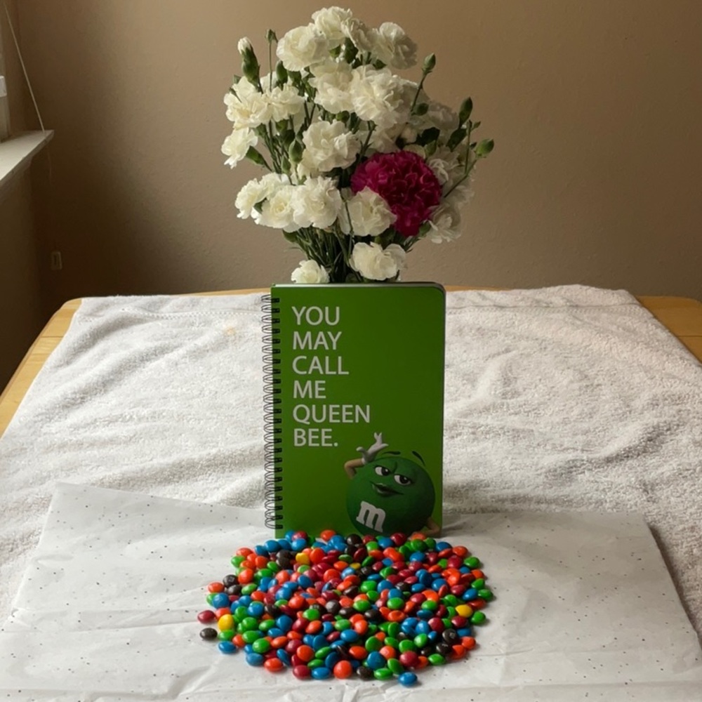 📗💙 M&M’S NOTEBOOK 📗💙 - Picture 7 of 16